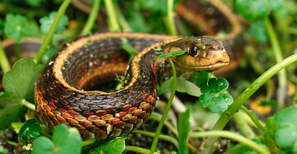 Aangifte belasting particulieren - Fiscaal Buro van den Brink | voor